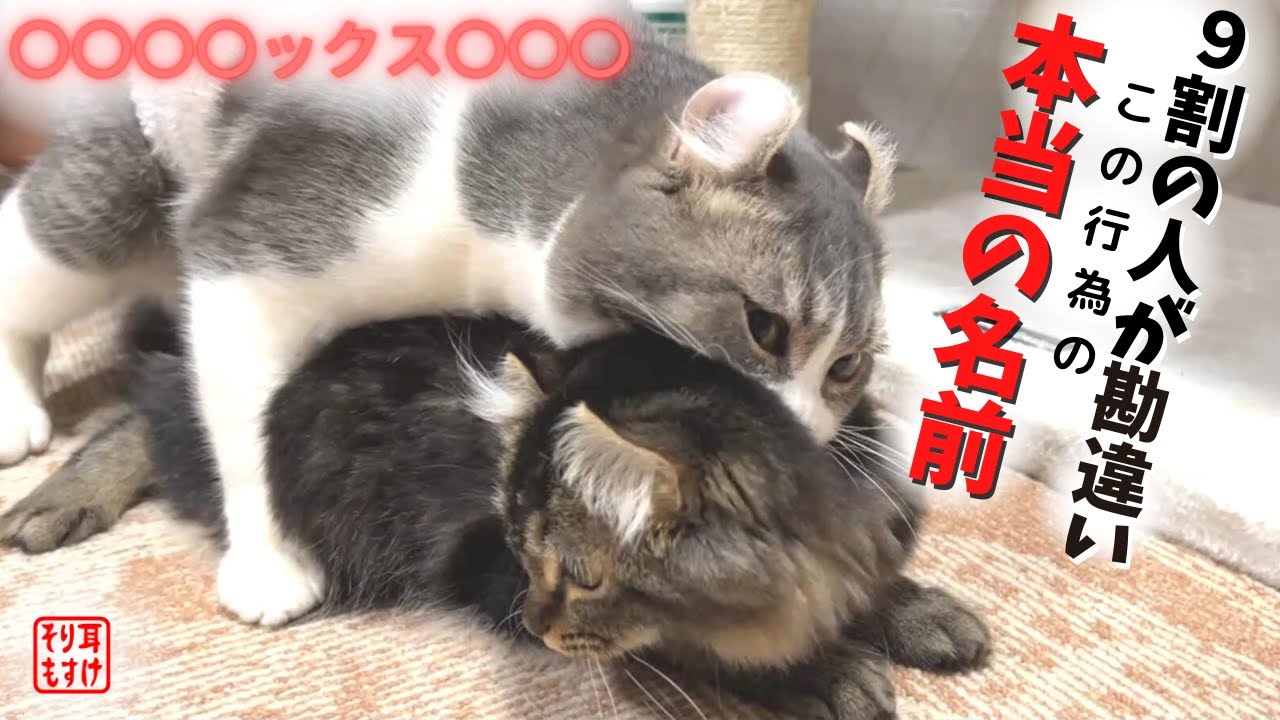 あの行為じゃなかった！衝撃の事実が判明しましたｗ