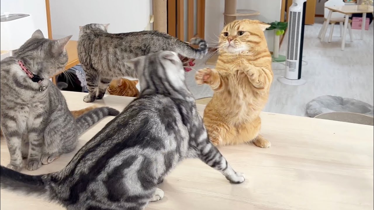 当たらないけど全力のパンチvs当たるけど優しいパンチ