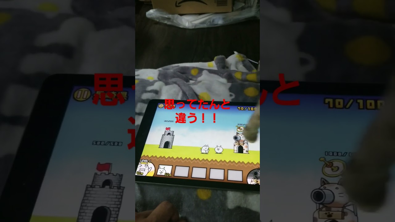 リアルにゃんこ大戦争 #cat #ネコ #猫 #シンガプーラ #あるある ＃にゃんこ＃にゃんこ大戦争＃アプリ＃ゲーム