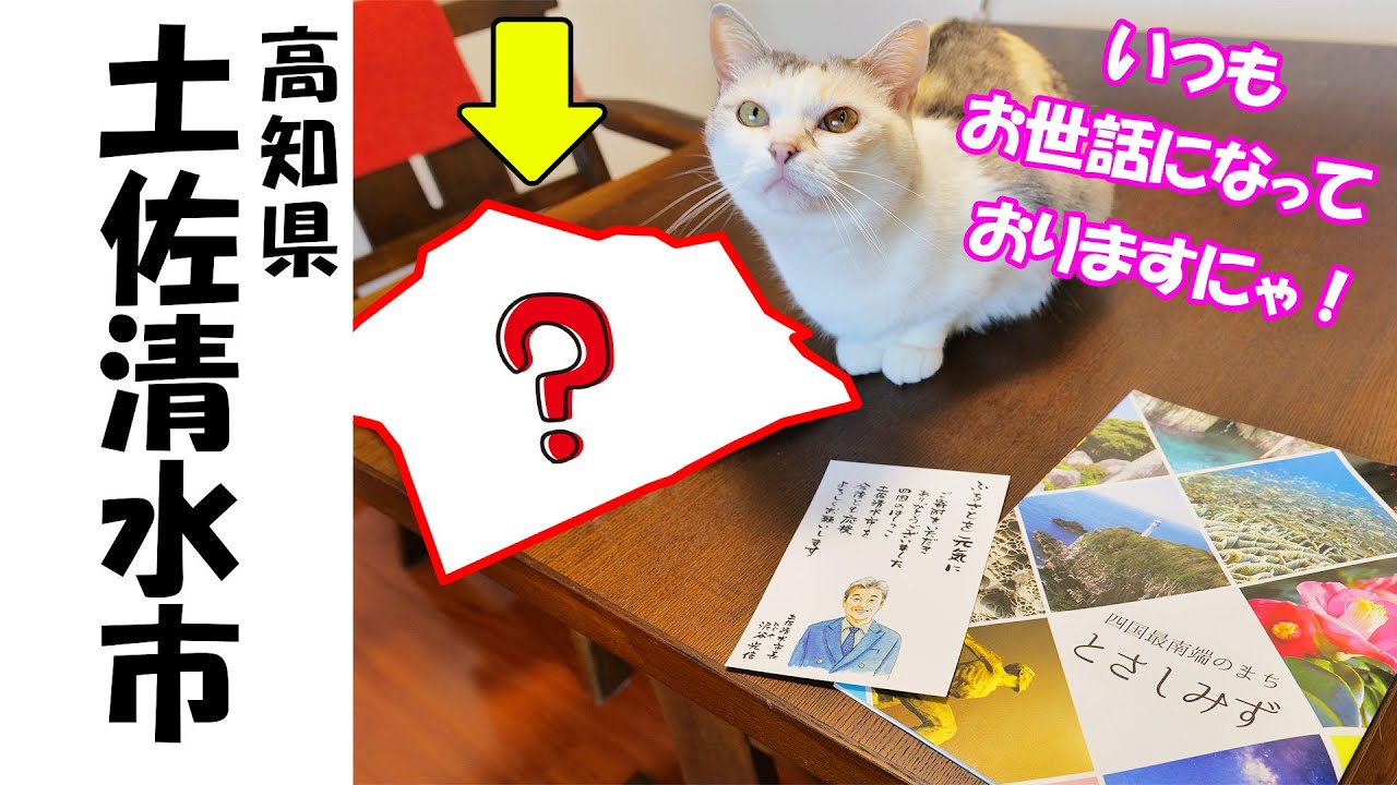 日本中の猫さんがお世話になっている【高知県土佐清水市】からわが家の猫達に素敵な贈り物が届きました🐈✨