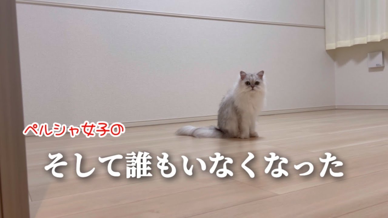 そして誰もいなくなった【ペルシャ女子】