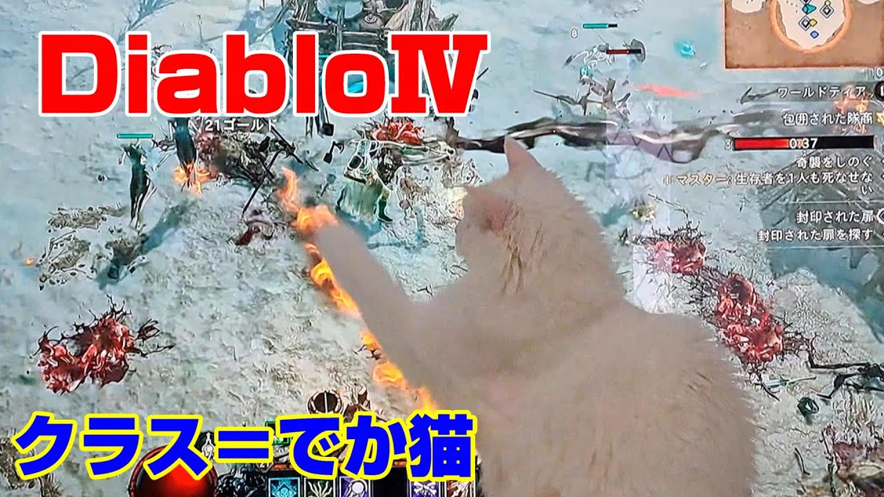 Diablo4を楽しむでか猫【メインクーン】