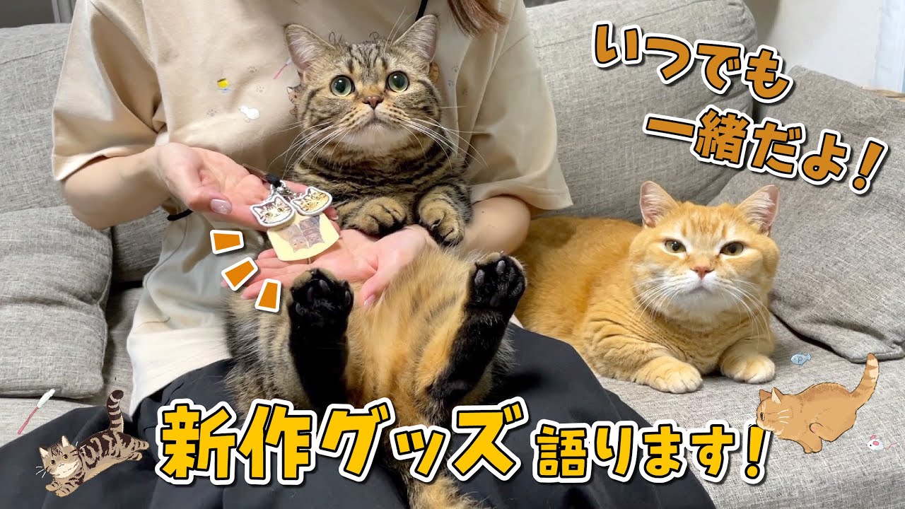 プリンとメルといつでも一緒！新グッズが可愛すぎるので見て！【お知らせ】