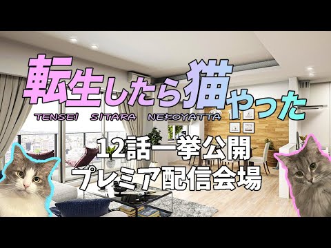 転生したら猫やった12話一挙公開プレミア公開