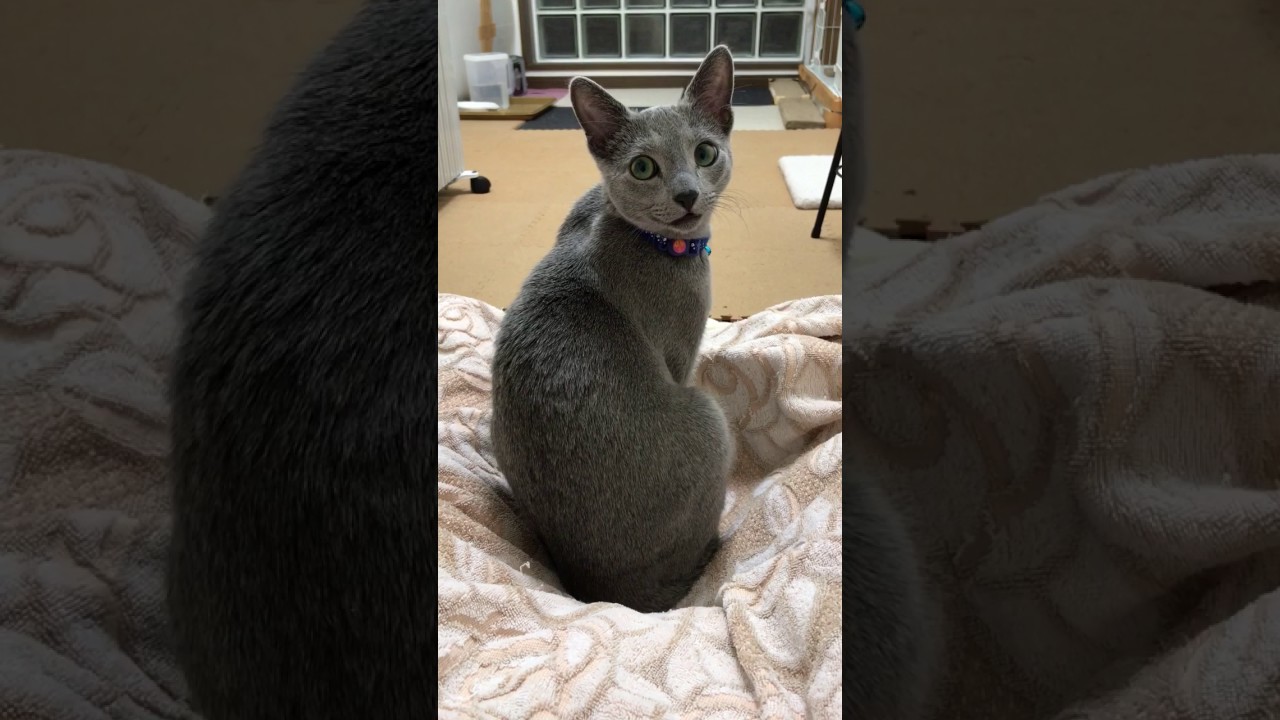 ロッチ。振り向いて目配せ。ウインク？