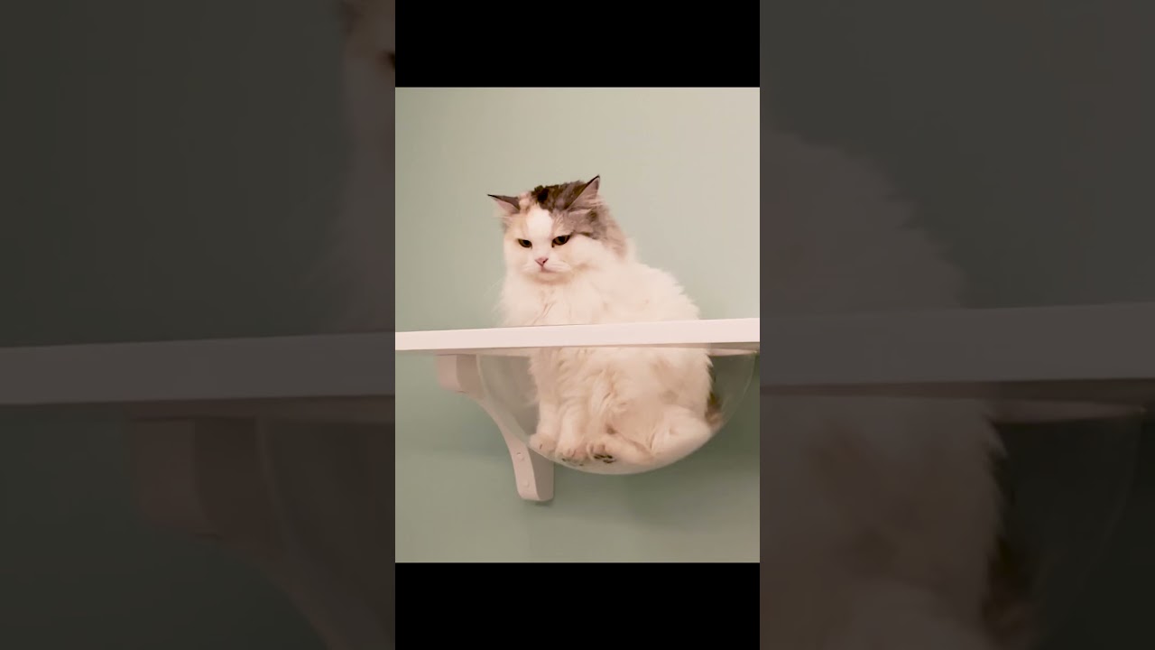 悪性腫瘍再発の可能性…？#Shorts