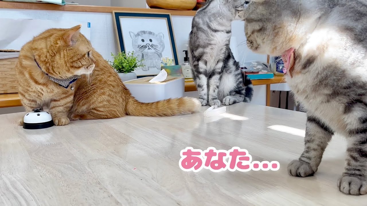 みんなで集まってベル鳴らしの練習です🛎
