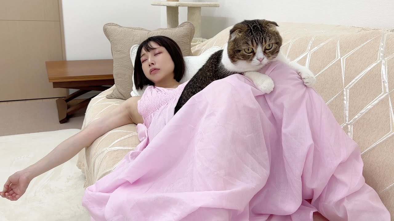 お昼寝しちゃったママと遊びたい猫🐈