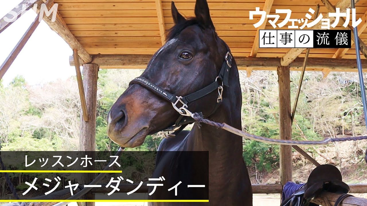 輝ける場所はどこかにある～レッスンホース・メジャーダンディー～