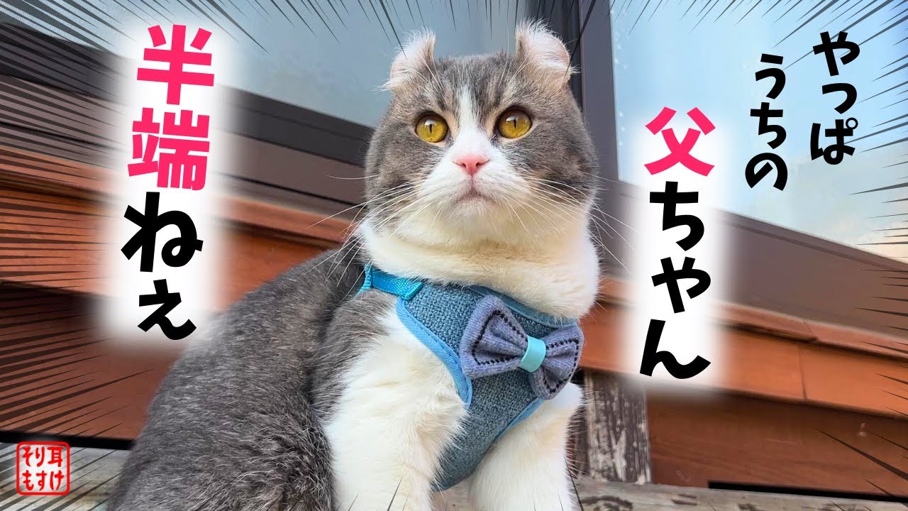 元気のない家族を励まして笑顔にしちゃうパパが格好良すぎて惚れてしまうｗ
