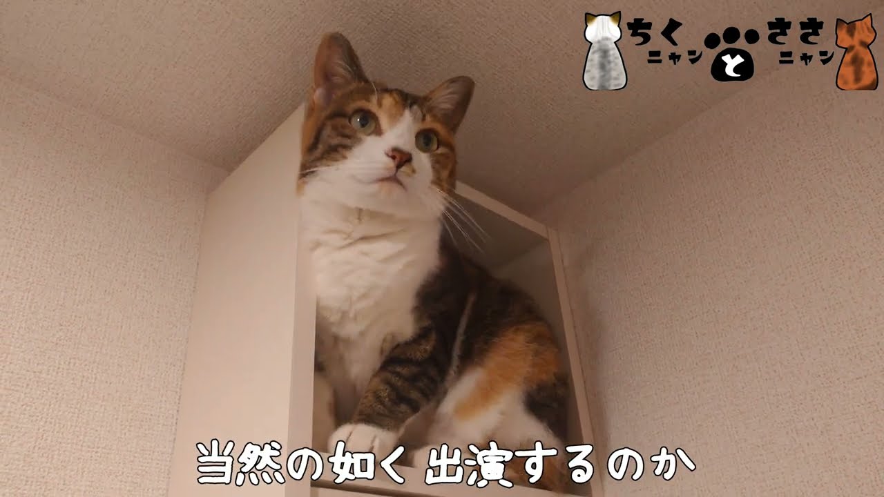 上の隅の箱の中