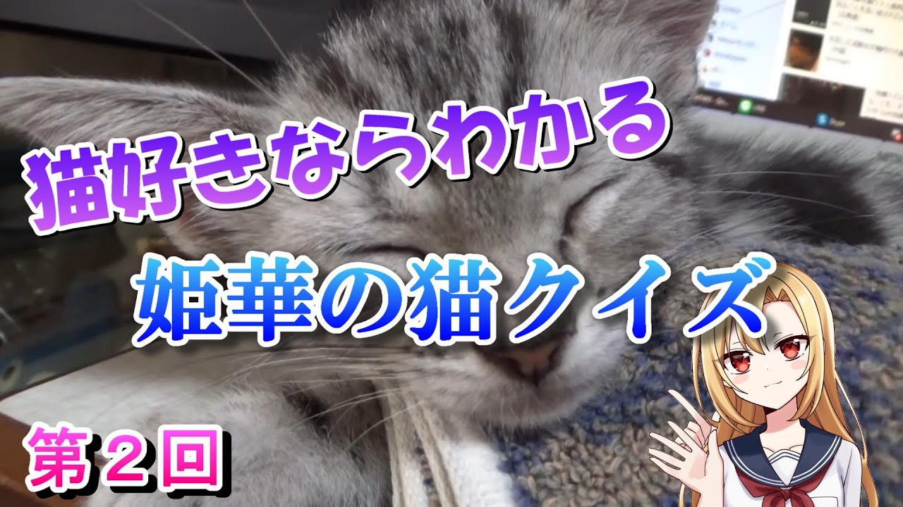 姫華の猫雑学クイズ　第２回