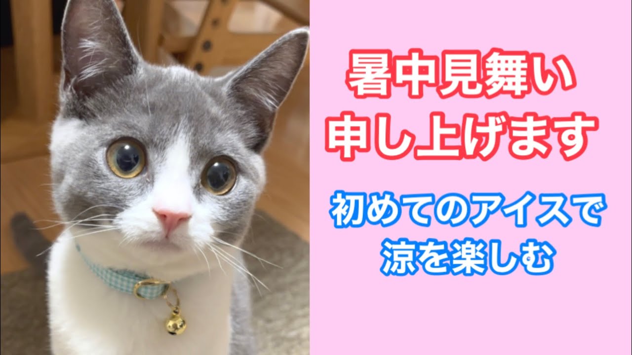 【ASMR】暑中見舞い♪アイス初体験を御報告します