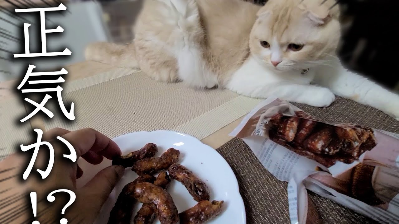 うんち直後の猫と犬の前でかりんとうを食べてみた結果...