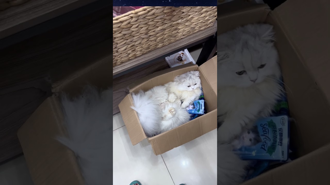 Góc nhỏ | Xòi ML