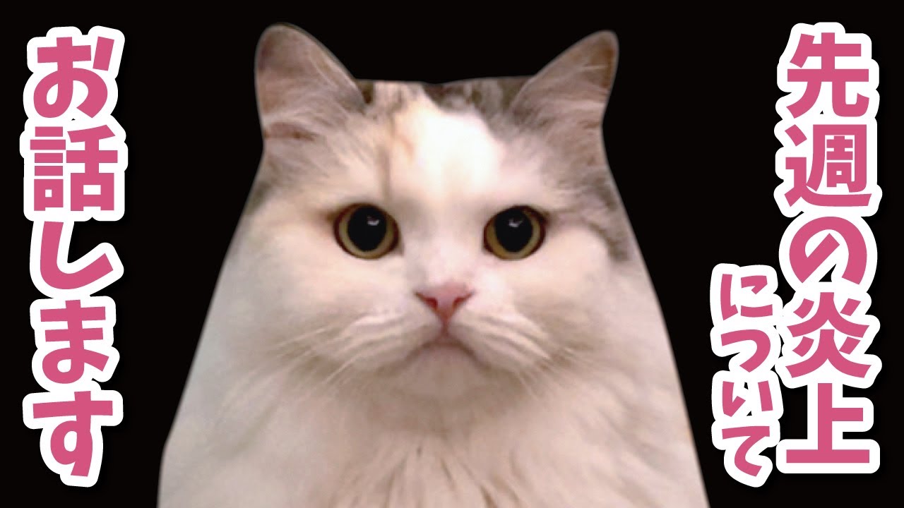 大変申し訳ありませんでした…！【関西弁でしゃべる猫】