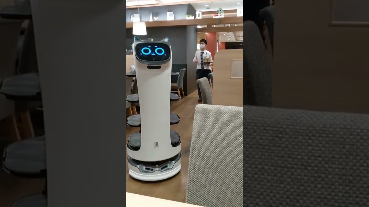 Cat-shaped food delivery robot #shorts