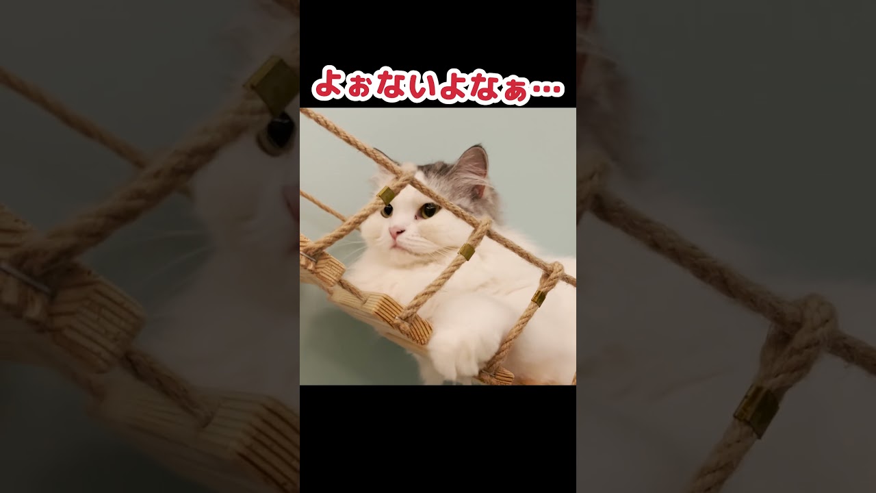 先週の炎上動画の件で謝罪いたします #shorts