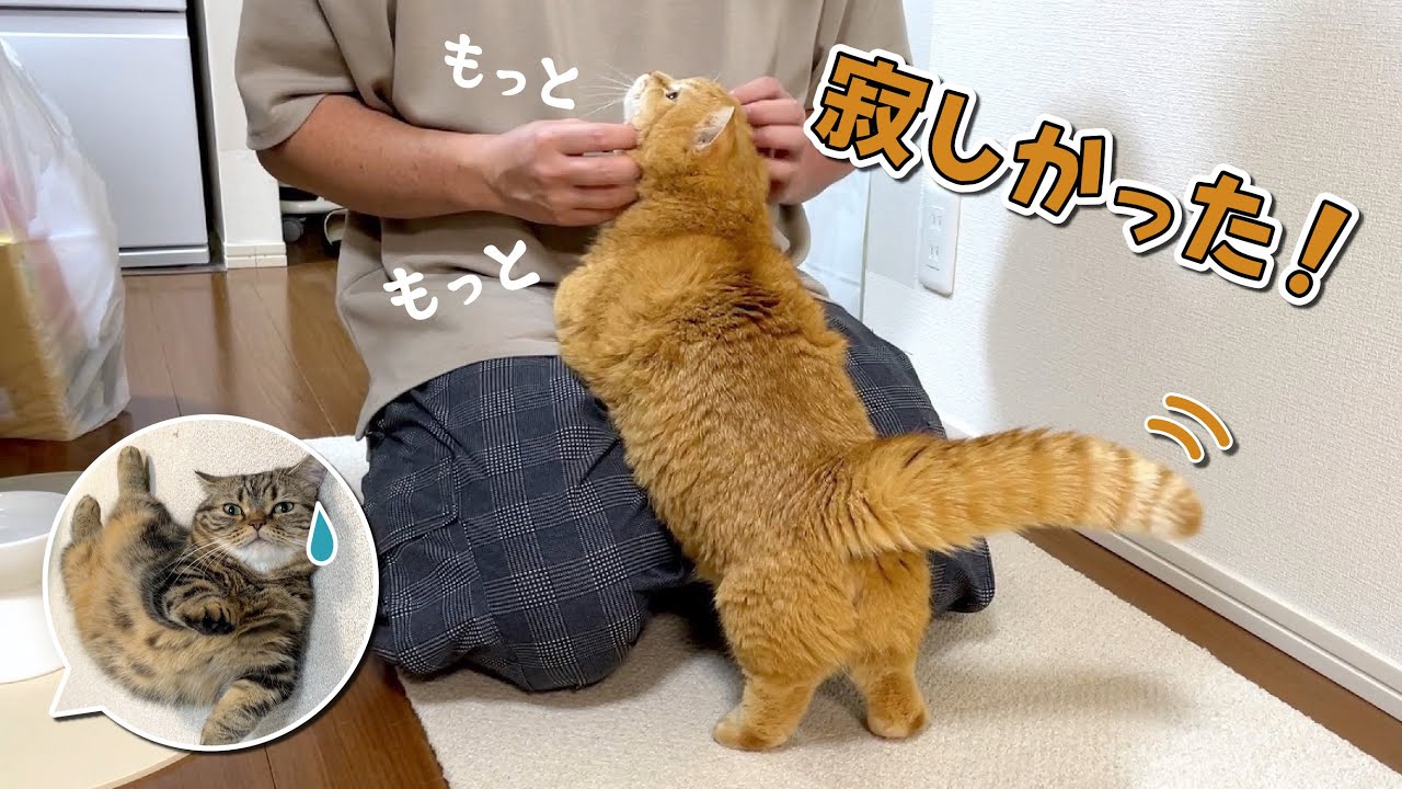 パパとの３日ぶりの再会でお出迎えガチ勢が復活しました…！