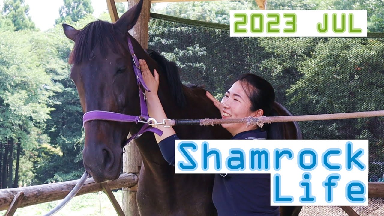 学びの夏/7月のVlog