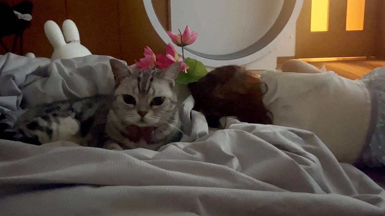 みゅうちゃんにいつも寄り添ってくれるあいちゃん