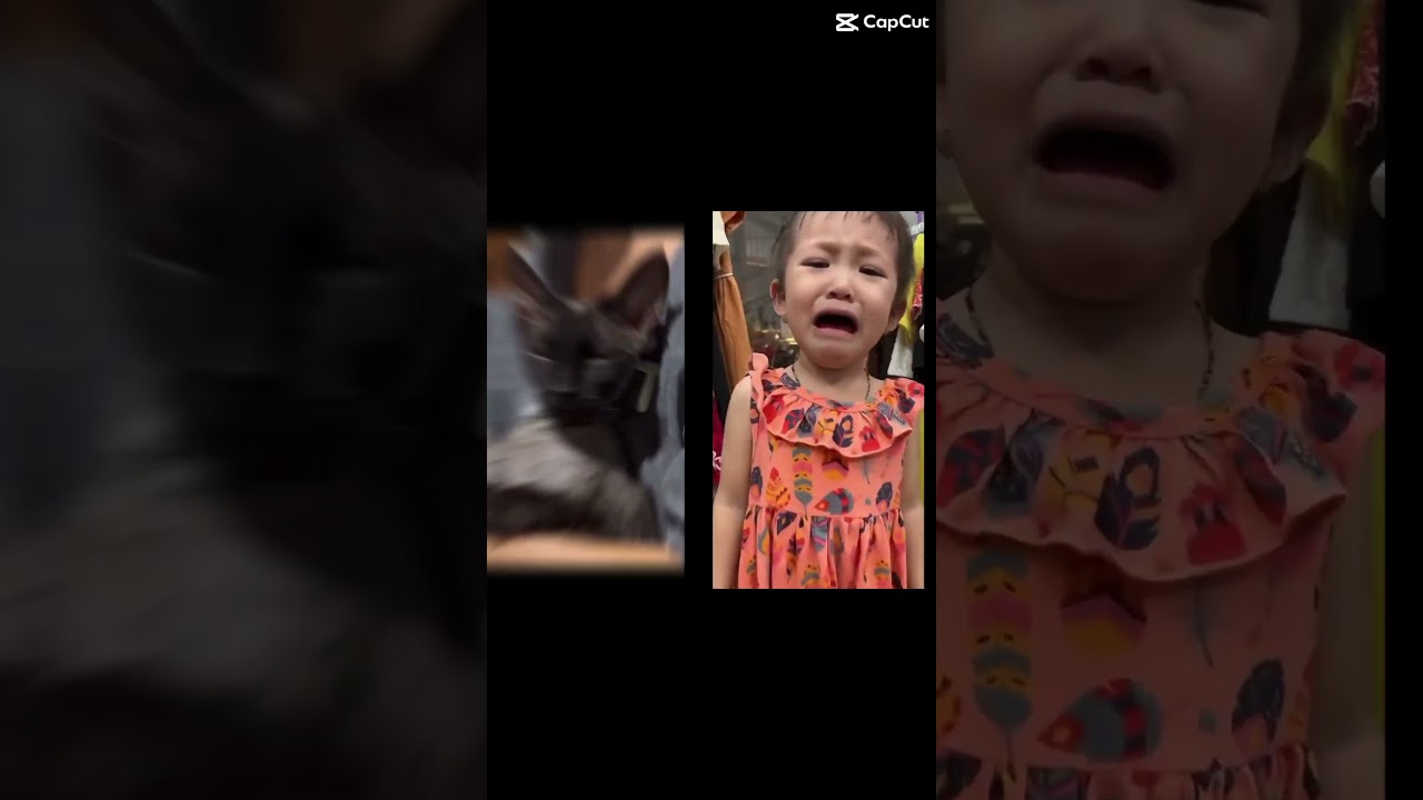 Woooo! #devonrexcat #gatostiernos #shortcat #gatosgraciosos #shortviral #gatos #devonrex