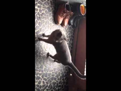 お散歩行きたーいっ