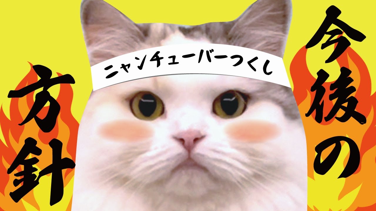 これからのニャンチューバーつくしチャンネルについて【関西弁でしゃべる猫】