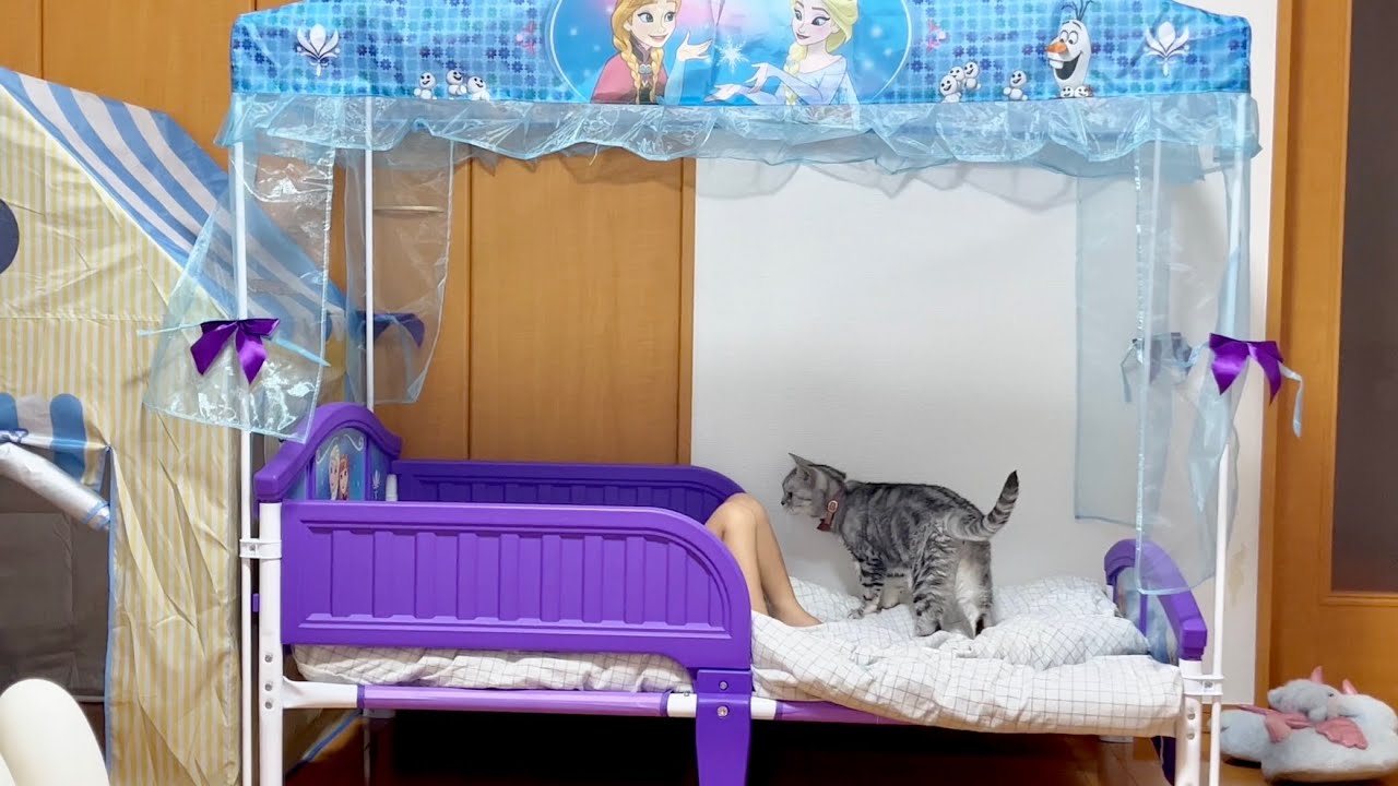もちろんこれはあたしのベッドね