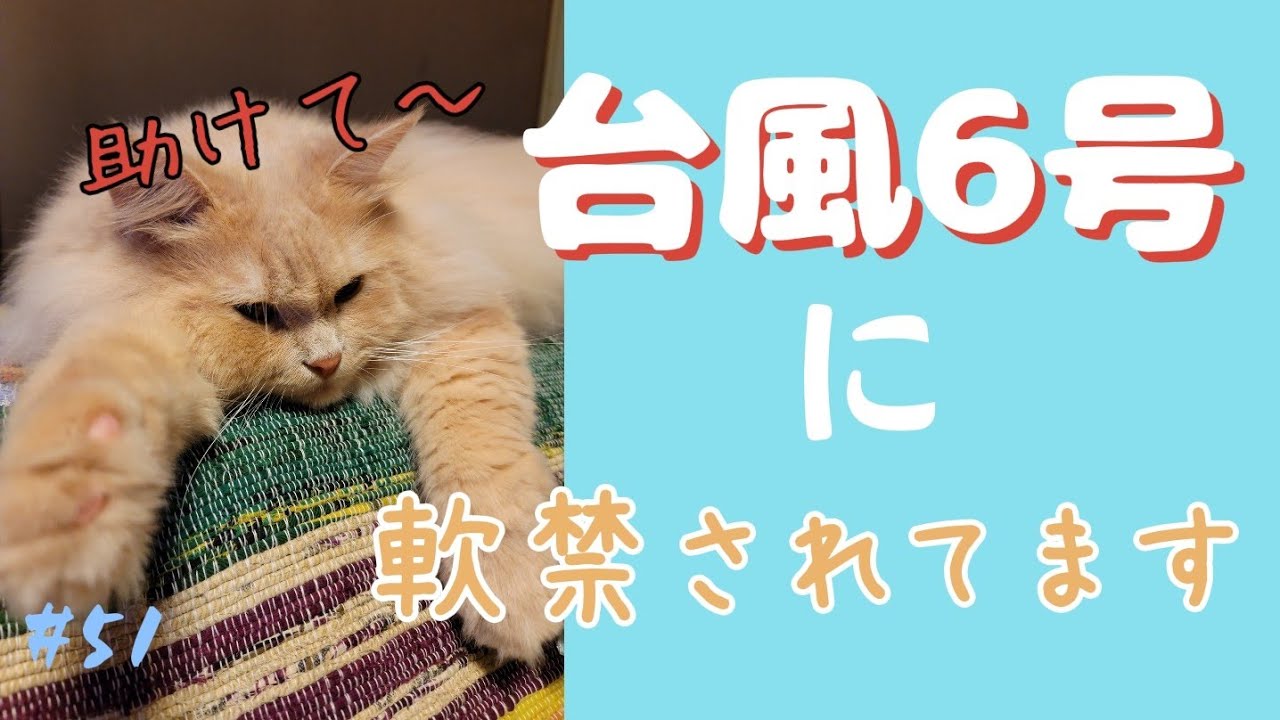 #51 台風被害はこんなところにまで(@￣□￣@;)！！恐るべし6号🌀