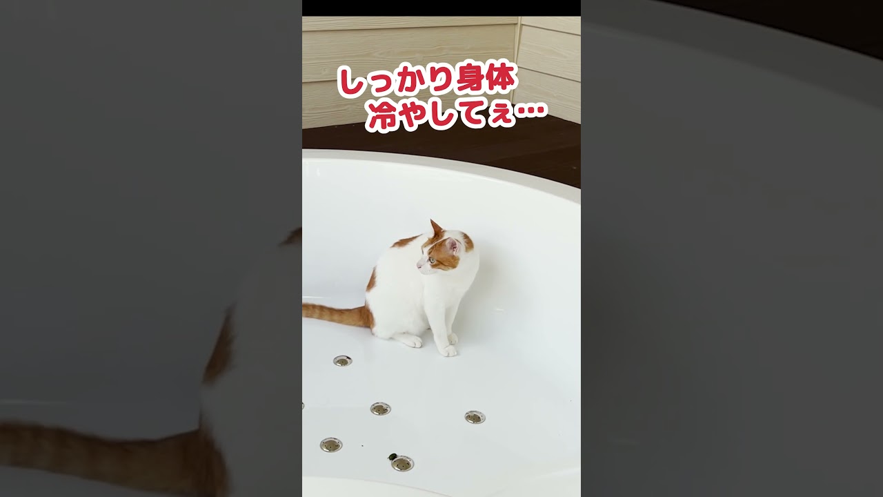 サウナで整う方法教えます #Shorts