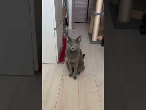 お腹すいた〜と言ってます