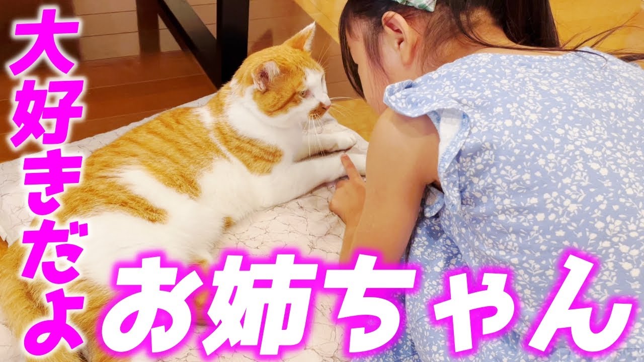 【夏休み】優しすぎる庭子猫君が娘の遊び相手になってくれるんです…♡[三毛母猫の子猫]