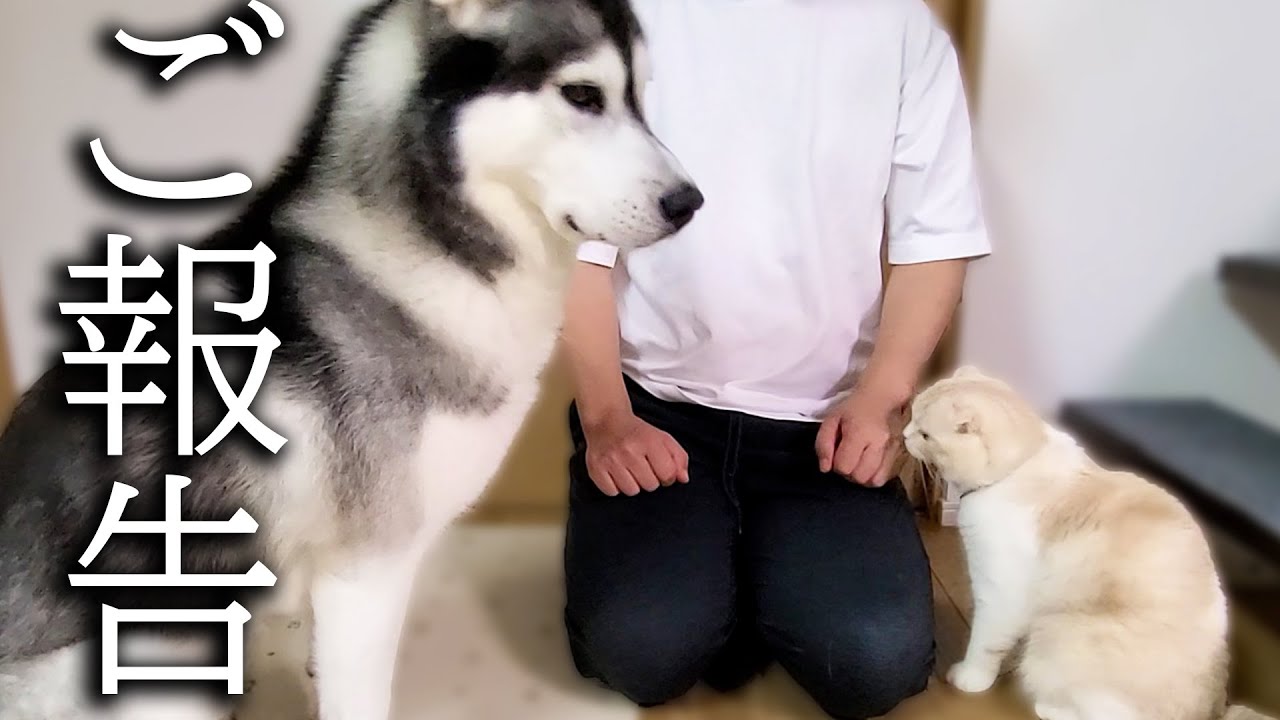 【ご報告】腫瘍が見つかりました...