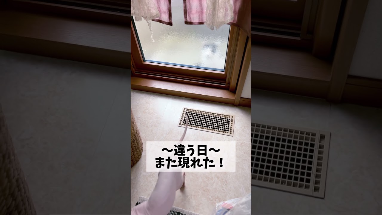 深夜の訪問者