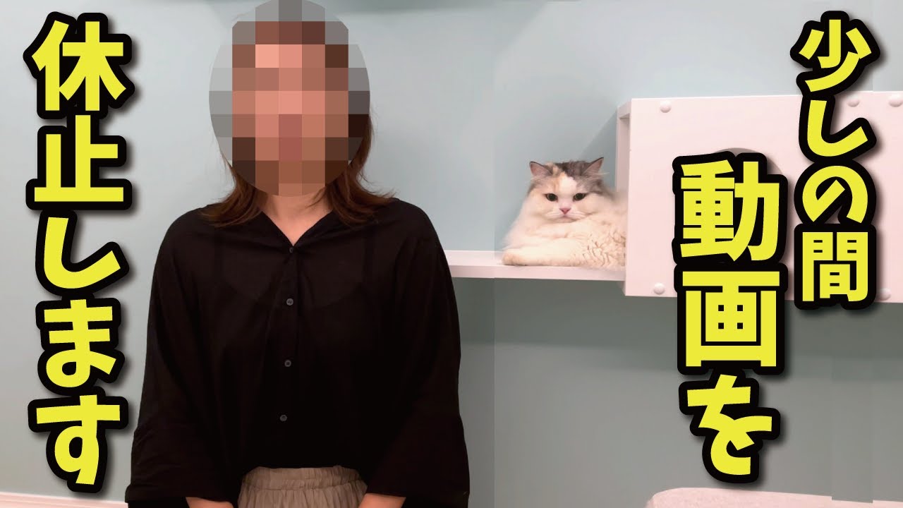 すみません…少しお休みをください…！【関西弁でしゃべる猫】