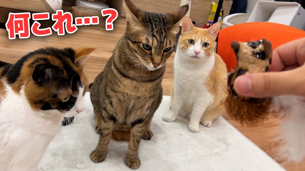 押し入れの奥から絶妙に気持ち悪い猫のおもちゃが発掘されました