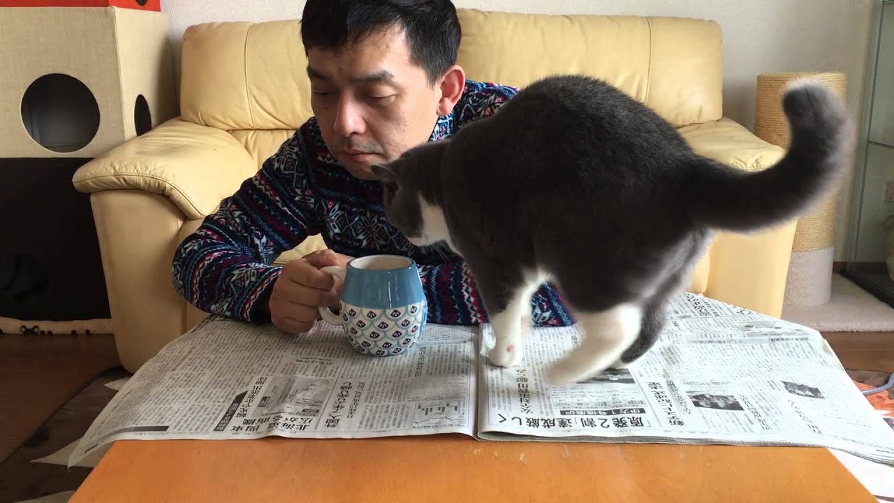 2016/03/26　セルカークレックスの梅子vol.171