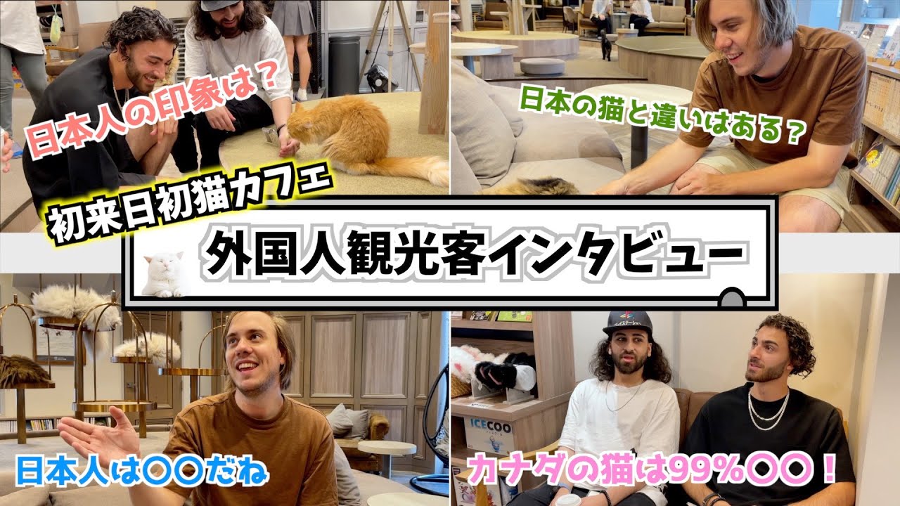 【初来日初猫カフェ】訪日外国人インタビュー
