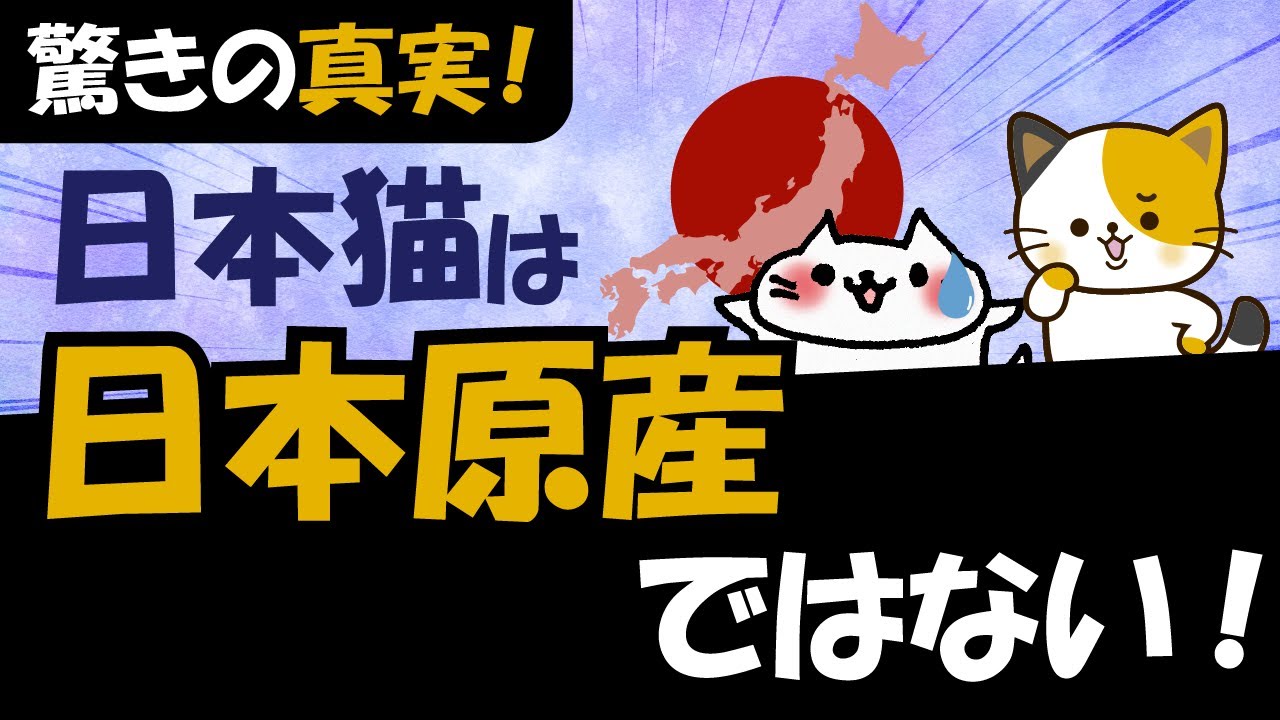 【猫の歴史】猫はどこからやってきたのか？日本猫の歩んできた歴史を解説