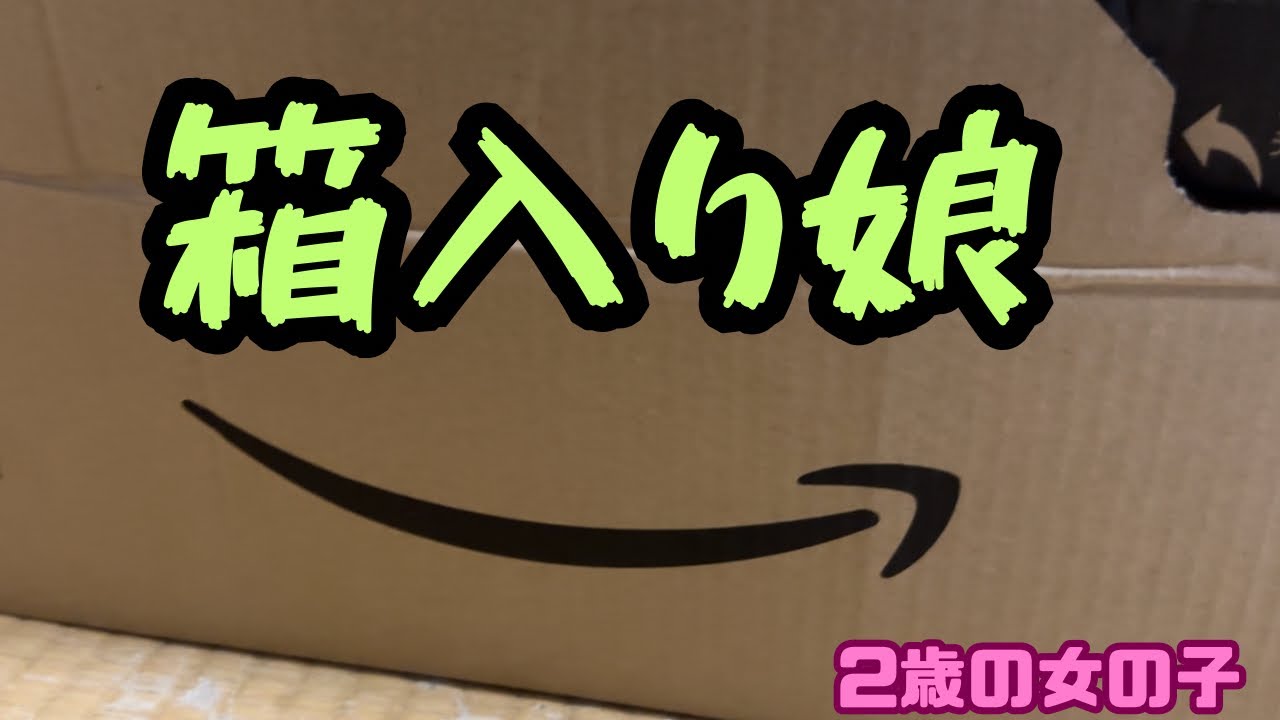 猫って箱好きよね！すぐ入る