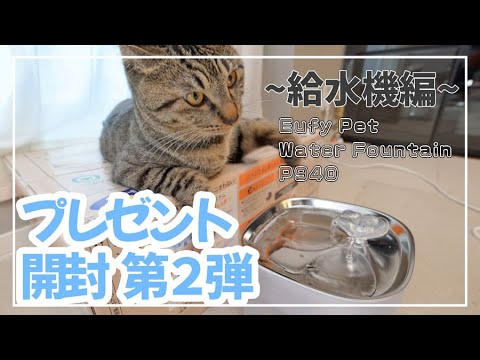 新しい給水機をプレゼントしたらまさかすぎる反応をいただきましたｗ[Anker Eufy Pet Water Fountain P940]