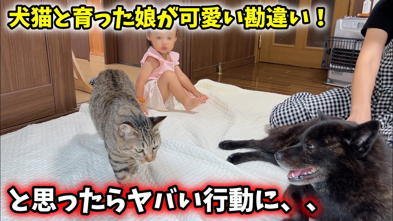 犬猫と育った娘が可愛い勘違い！と思ったらヤバい行動に・・・