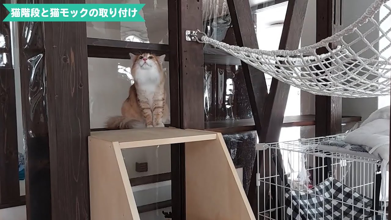 【猫ファーストの家】猫モックと猫階段の取り付け過程！