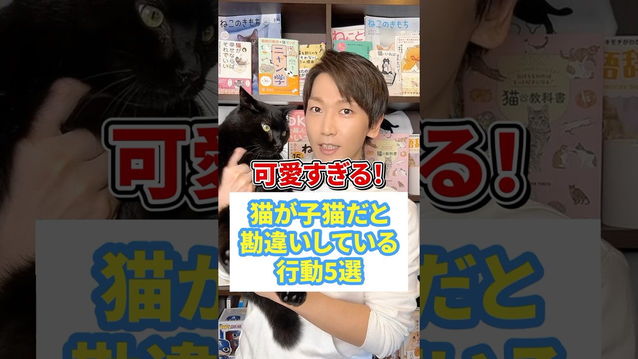 可愛すぎる！猫が子猫だと勘違いしてる行動５選