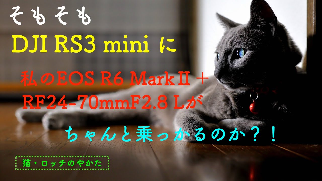 【DJI RS3miniにEOSR6M2＋24-70Lレンズはのるのか？！】