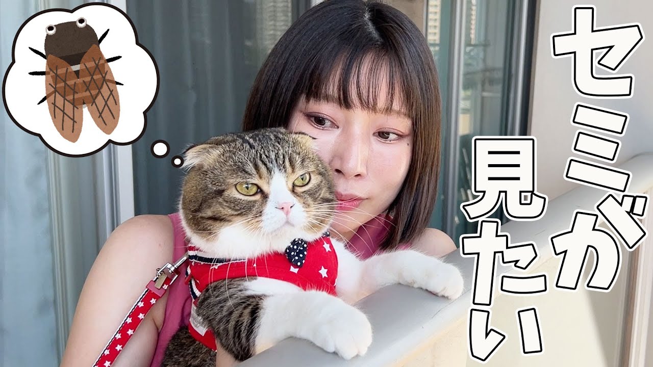 セミが見たい猫のためにベランダに出てみた結果がこちらです…w