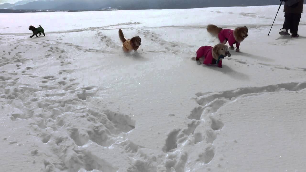 スノーシュー７