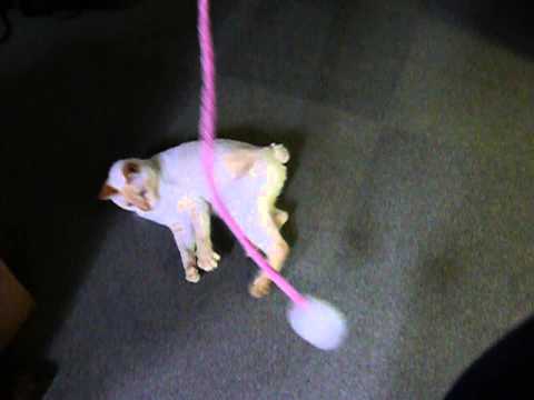 すりすり　No.011