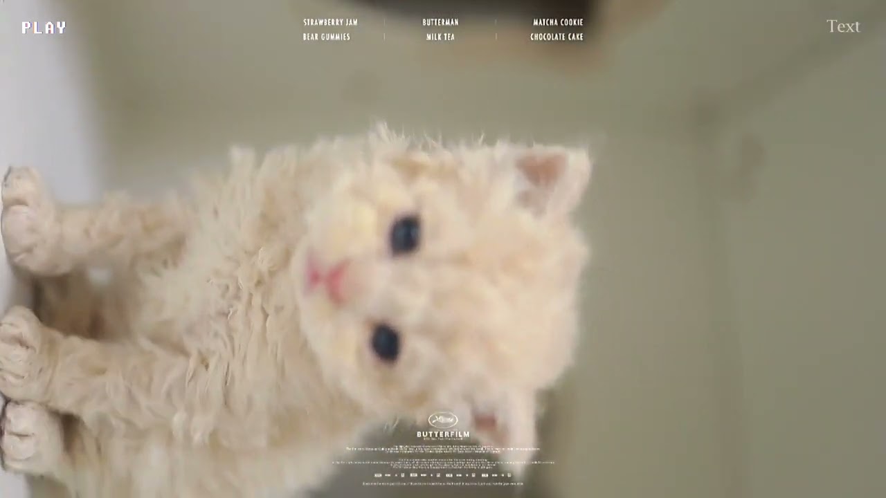 セルカークレックス 完全に人形🧸